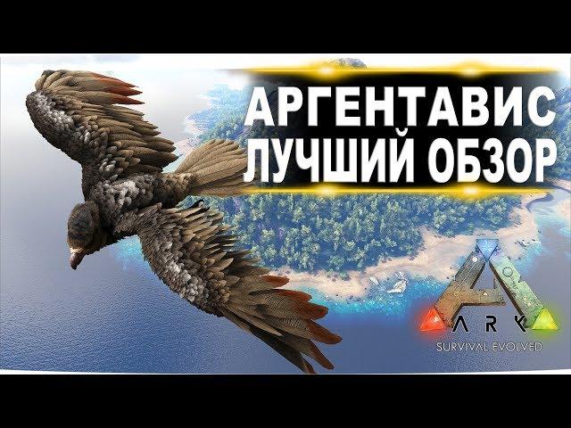 Аргентавис (Argentavis) в АРК. Лучший обзор: приручение, разведение и способности в ark