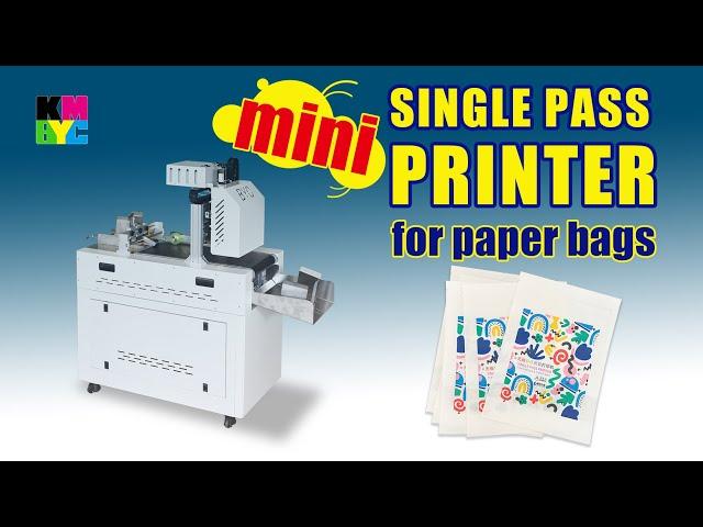 Mini Automatic Feeding Paper Bag Printing Machine