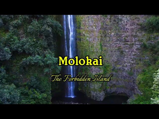 Molokai | The Forbidden Island of Hawaii | Halawa Valley