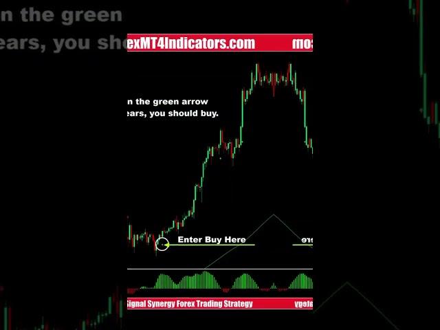 Multi Signal Synergy Forex Trading Strategy