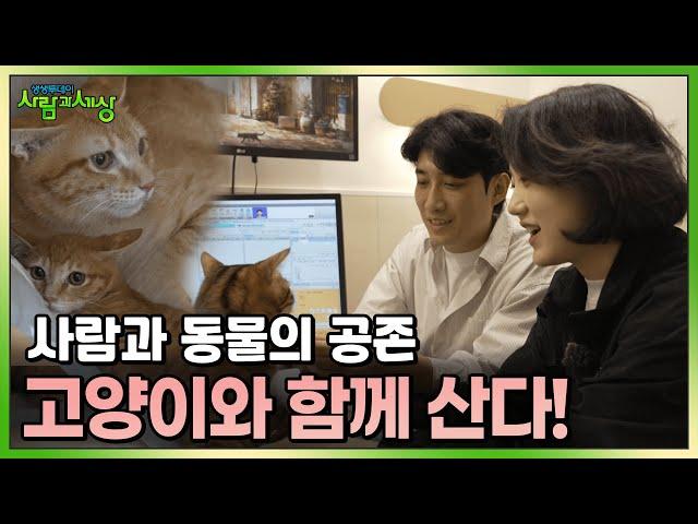 사람과 동물이 공존하는 이곳, 우리는 고양이와 함께 산다! | KBS 241212 방송