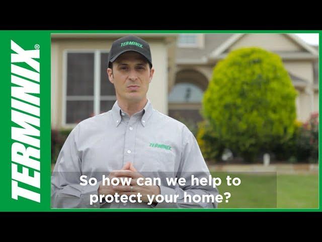 Why Choose Terminix for Pest Control