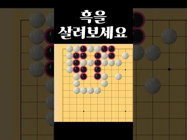 쉬운 바둑 사활 - 묘수는 꼭 보셔야  합니다