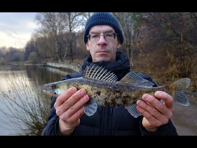 Рыбалка Химкинское водохранилище. 19.11.2024