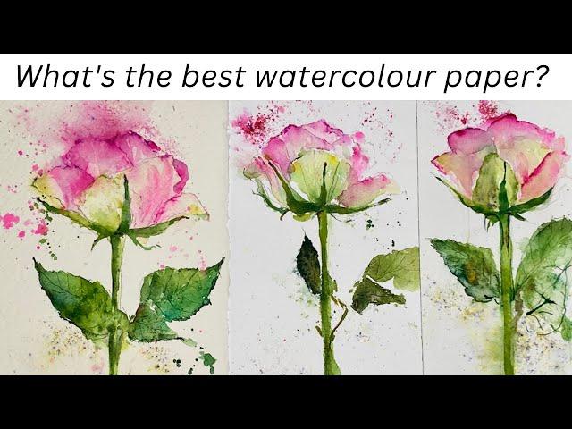 Watercolour Paper - Tested & Explained // For Beginners