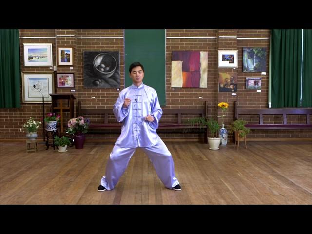 Tai Chi 24  Form step by step instructions (Paragraph 2)