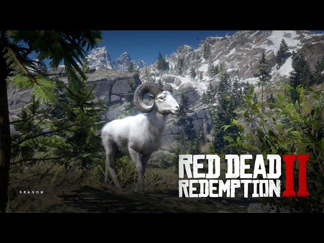 How to Find and Kill The Legendary Bighorn Ram In RDR2