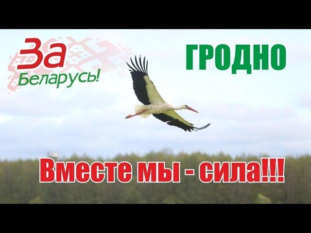 Прямая трансляция пользователя Web-navi TV