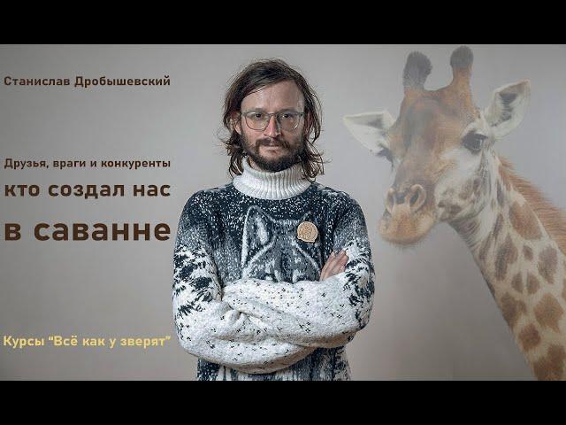 Кто создал человека: друзья, враги, конкуренты // St. Дробышевский и курсы "Всё как у зверят"