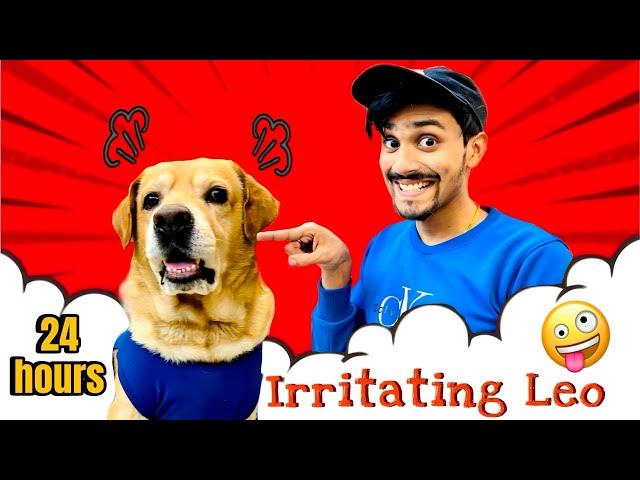 Irritating My Dog For 24 Hours | Leo gussa ho gya | Anant Rastogi