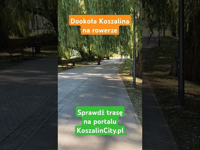 Dookoła Koszalina na rowerze. Sprawdź trasę na KoszalinCity.pl ‍️ #rower #turystyka #Koszalin