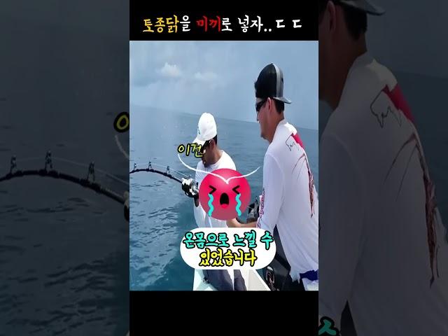 토종닭으로 잡은 300kg 자이언트 물고기ㄷㄷ
