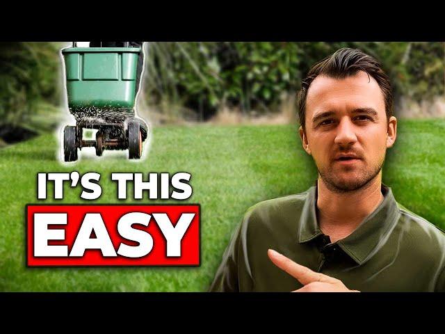 7 Highly Effective Autumn Lawncare Tips