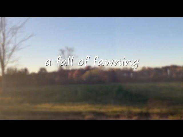 a fall of fawning