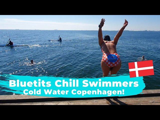 Cold water swimmers, Copenhagen! Hygge with the Bluetits Chill Swimmers