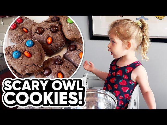 Baking Mischief! Kid-Friendly Chocolate Owl Cookie Recipe