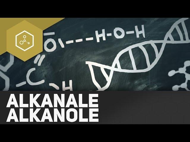 Alkanale,  Alkanone, Aldehyde - REMAKE