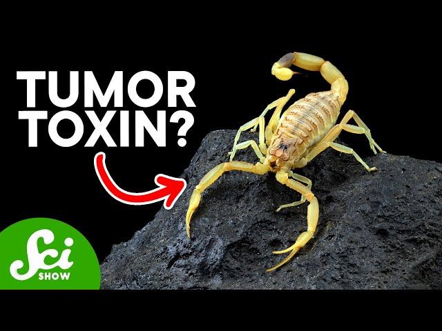 7 Life-Saving Medicines That Come From Deadly Animals