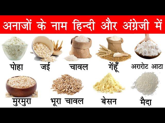 Cereals and Grains name in English and Hindi With Pictures | अनाजों के नाम इंग्लिश और हिंदी में