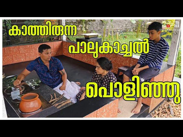 പാല് കാച്ചൽ പൊളിഞ്ഞു  /Palu kachal /Payasam റെസിപ്പി / Traditional life/Village Vlog /AJU'S WORLD