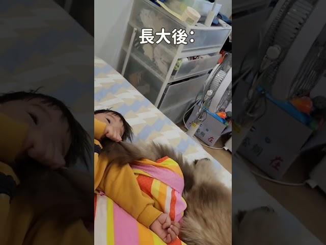 小姪子來我家玩 #貓