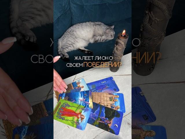 ЖАЛЕЕТ ЛИ ОН О СВОЕМ ПОВЕДЕНИИ? таро расклад