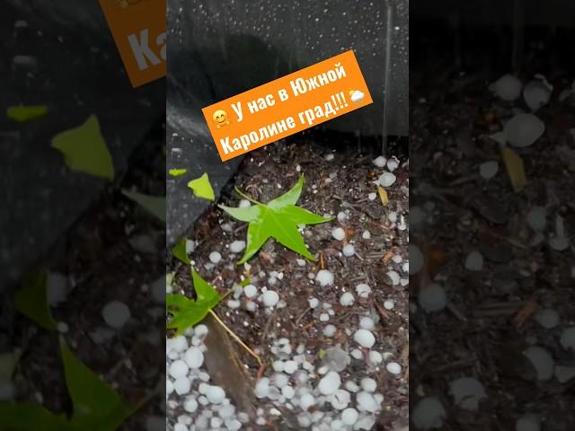 ️ Град и дождь как из ведра‼️#нашаамерика #живи #scusa #speakrussian #люблюжить