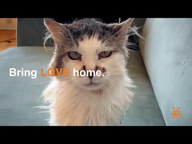 Bring Love Home!