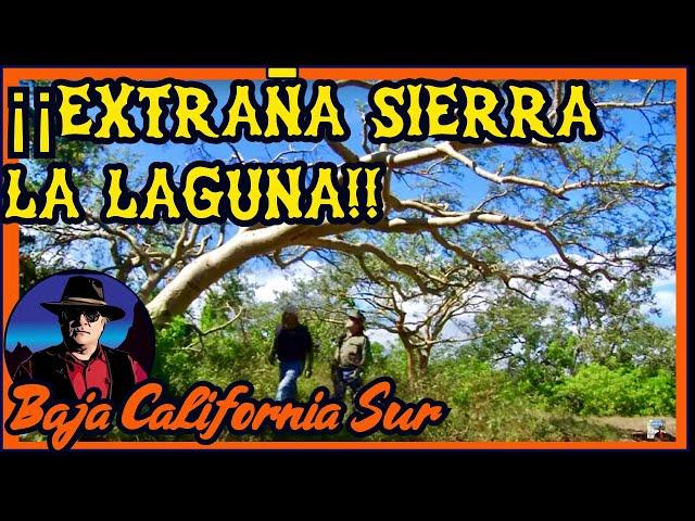 Extraña Sierra La Laguna