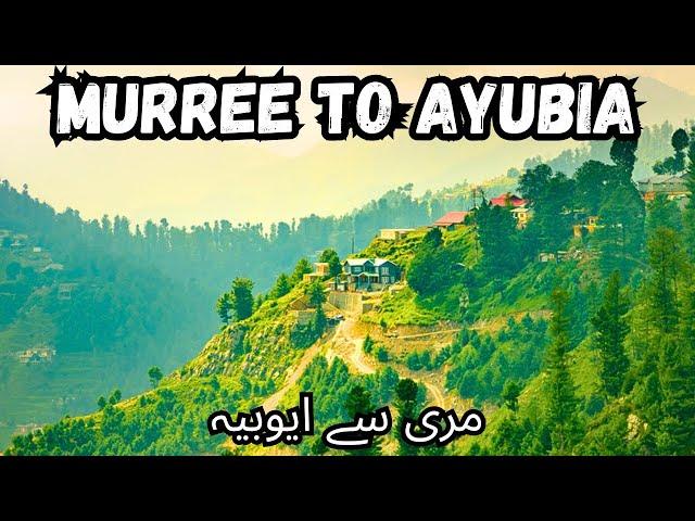 murree to ayubia | ayubia murree |  ayubia national park | murree to ayubia road | ayubia chair lift