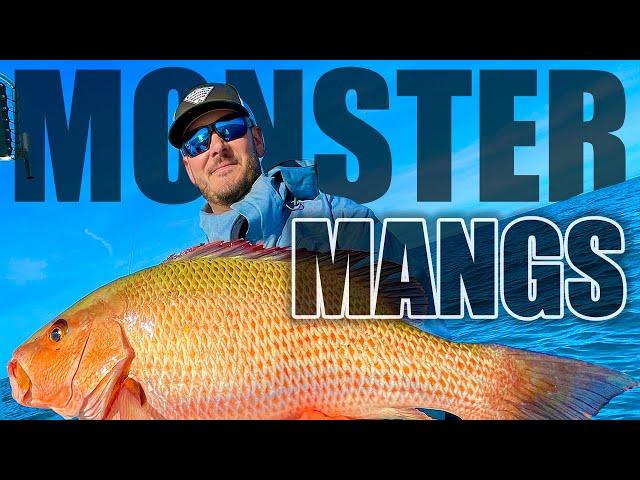 How to Catch Monster Mangrove Snapper - Anna Maria Island, Florida (Fishing With Salty)