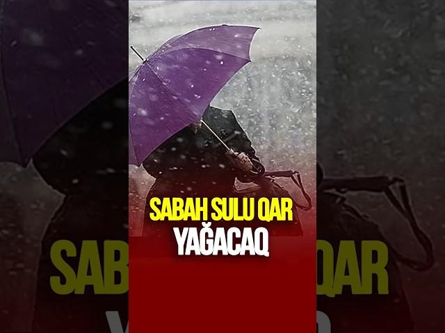 Sabah sulu QAR YAĞACAQ #tvmusavat #xəbərlər #azerbaycan #sonxəbərlər