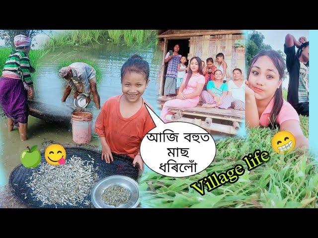 গাঁৱলীয়া জীৱন //#misingcomedyvideo @momikutum5778 @SUMIPEGU-ns3kb