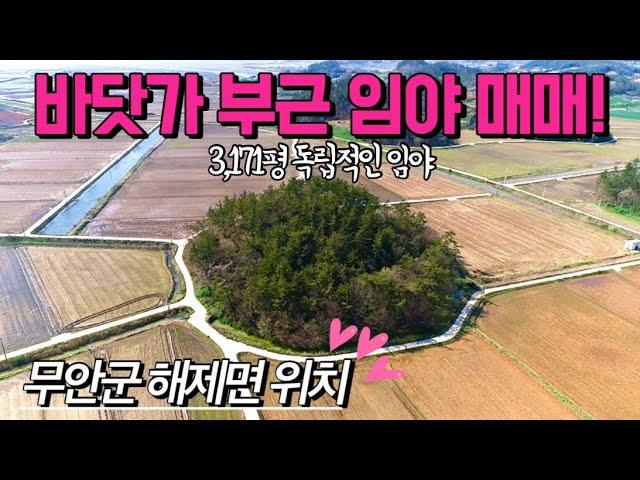 [전남임야매매] 매물번호#342 3,171평 바닷가 부근 임야 매매 ! 무안군 해제면 산길리 임야 시골땅 촌땅 토지 매매