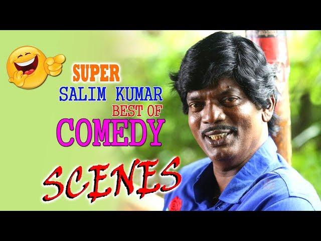 Salim Kumar Comedy Scenes | Nonstop Comedy | Malayalam Comedy Scenes | Best Of Salim Kumar