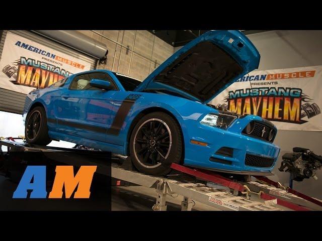 2014 Mustang Mayhem: GT500 vs. 5.0L Epic Dyno Battle