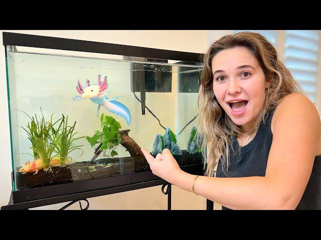 MY NEW RARE AXOLOTL TANK! WHAT IS IT?!