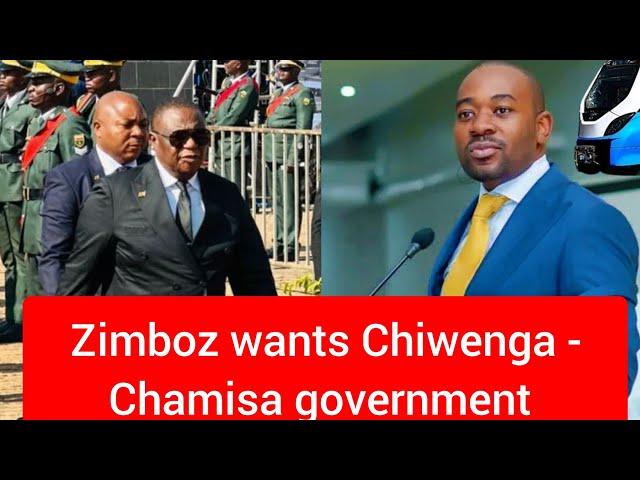 Zimbabweans advocate for Chiwenga - Chamisa unity government