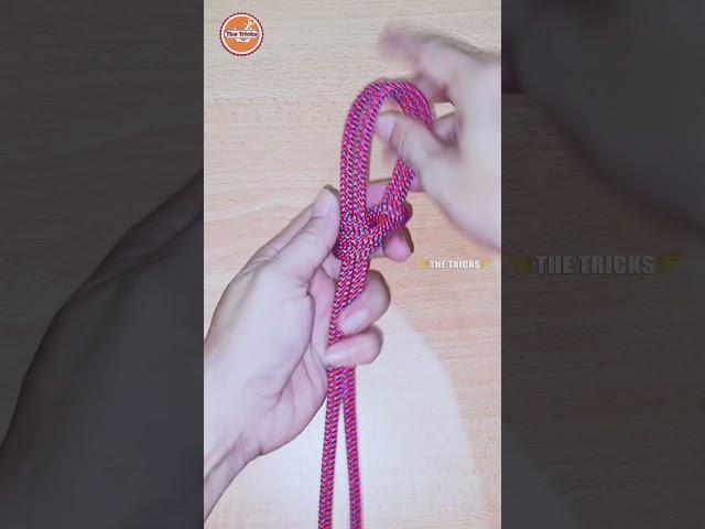 How to tie Knots like a Pro, DIY Rope Knot Tutorial #diy #viral #shorts ep2691