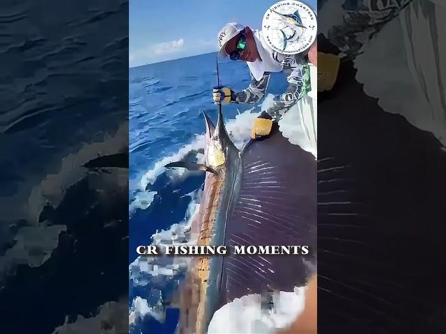 Unforgettable CR Fishing Moments How do you feel when catching a fish?? #sailfish