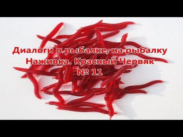 Диалоги о рыбалке, на рыбалку. Наживка. Красный червяк / Bait. Red worm № 11