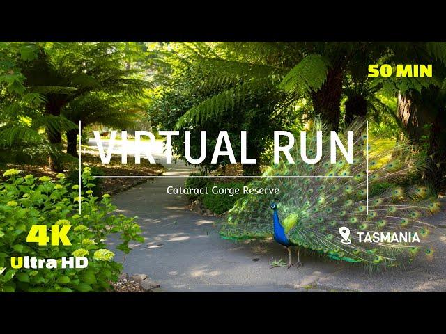 Virtual Run Trail - Trail Run 4K - Treadmill Workout -Cataract Gorge - Scenery Tasmania