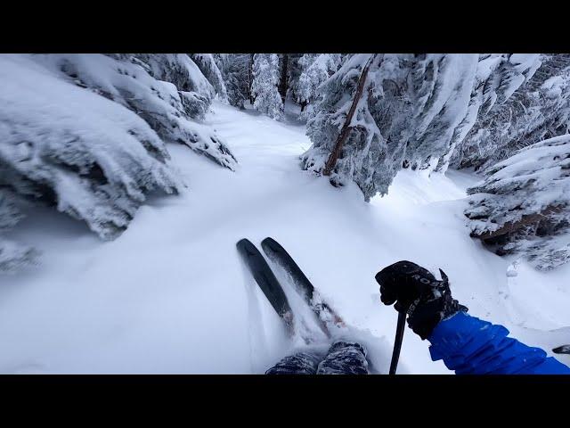 Tight Trees and Fresh Powder