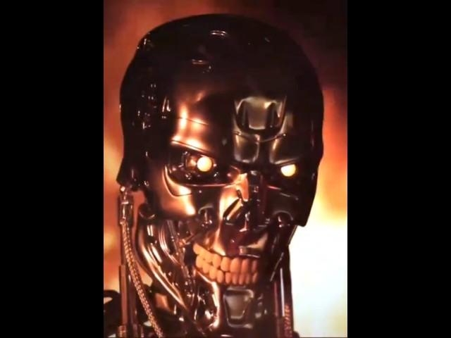 T-800 ENDOSKELETON TERMINATOR 1/1 LIFE SIZE REPLICA BLITZWAY