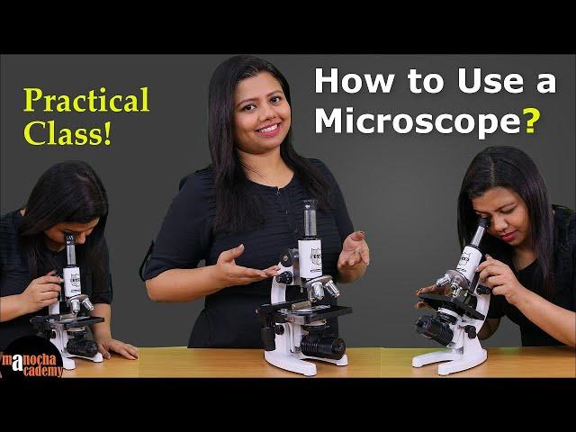 Microscope Parts and Functions | How to Use a Microscope