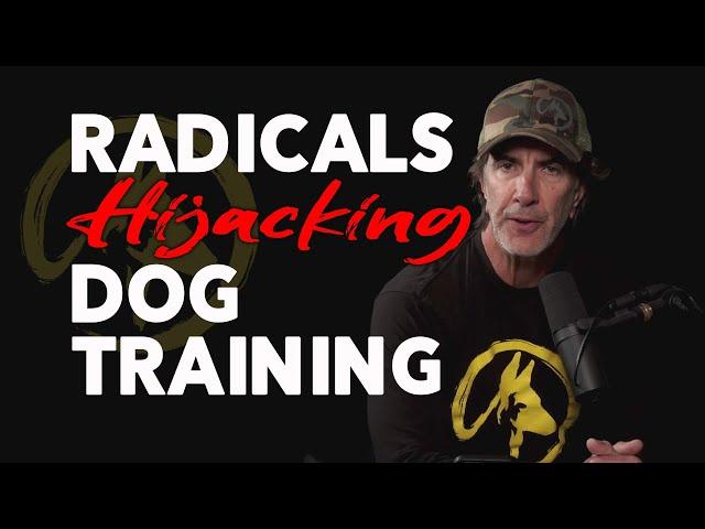 Radicals are Hijacking Dog Training - The Purely Positive LIE!