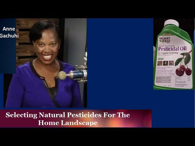 Selecting Natural Pesticides For The Home Landscape