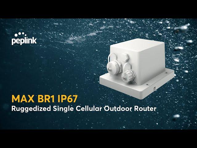 Peplink Portfolio | MAX BR1 IP67 - Ruggedized Single Cellular Outdoor Router