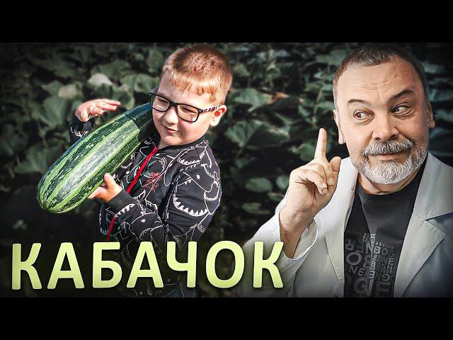 СКРОМНОЕ ОБАЯНИЕ КАБАЧКА.  / свойства кабачка / кабачки для похудения / кабачки при диабете /