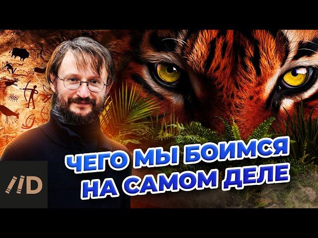 Чего мы боимся на самом деле? | Дробышевский